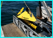 Edgetech Towfish Ready to Deploy